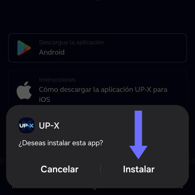 Ingresá a tu cuenta